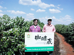 ティジュコ=プレト農園(ブラジル)